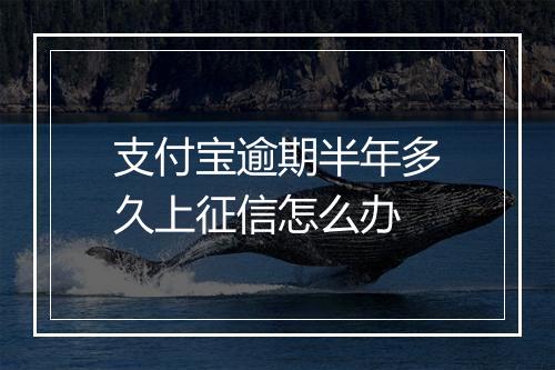 支付宝逾期半年多久上征信怎么办
