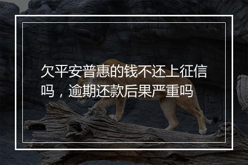 欠平安普惠的钱不还上征信吗，逾期还款后果严重吗