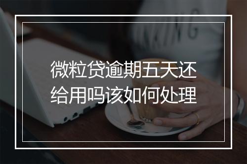 微粒贷逾期五天还给用吗该如何处理