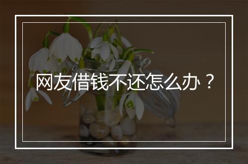 网友借钱不还怎么办？