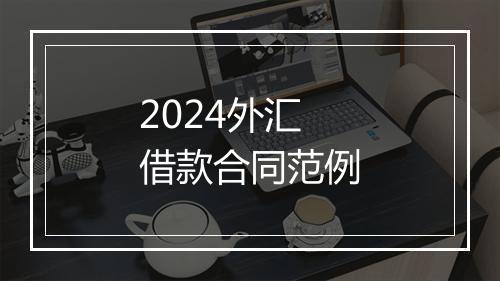 2024外汇借款合同范例