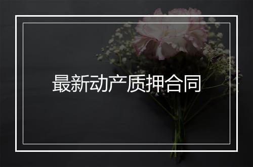 最新动产质押合同