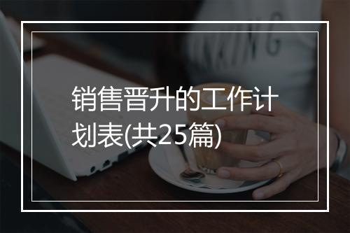 销售晋升的工作计划表(共25篇)