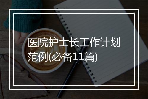医院护士长工作计划范例(必备11篇)