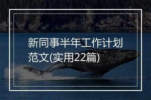 新同事半年工作计划范文(实用22篇)