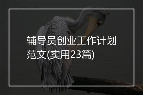 辅导员创业工作计划范文(实用23篇)