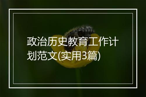 政治历史教育工作计划范文(实用3篇)
