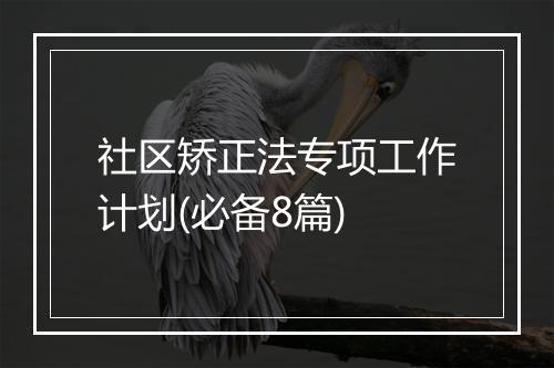 社区矫正法专项工作计划(必备8篇)