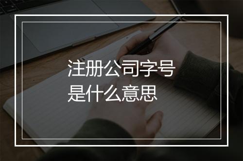 注册公司字号是什么意思