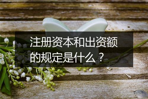 注册资本和出资额的规定是什么？