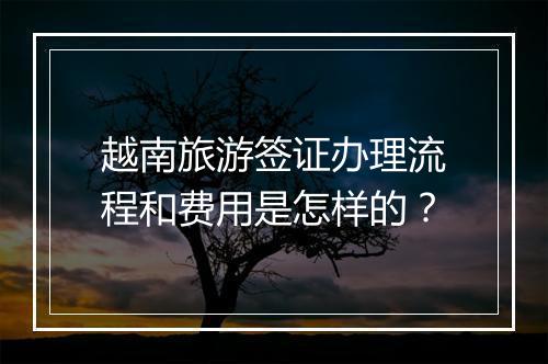 越南旅游签证办理流程和费用是怎样的？