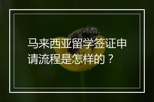 马来西亚留学签证申请流程是怎样的？