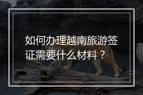 如何办理越南旅游签证需要什么材料？