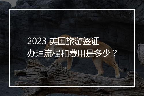2023 英国旅游签证办理流程和费用是多少？
