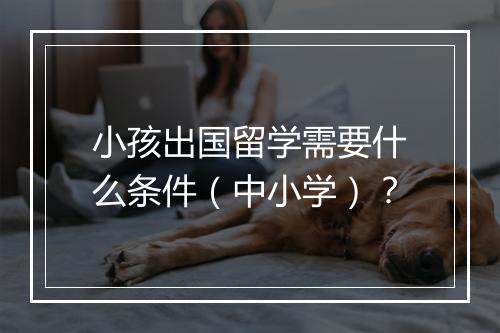小孩出国留学需要什么条件（中小学）？