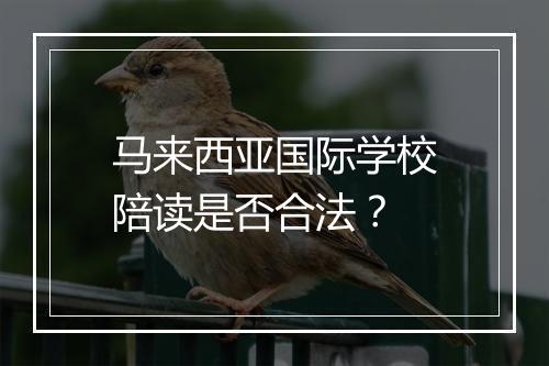 马来西亚国际学校陪读是否合法？