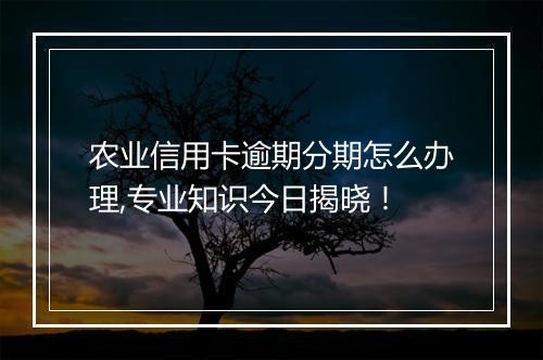 农业信用卡逾期分期怎么办理,专业知识今日揭晓！