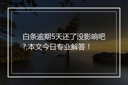 白条逾期5天还了没影响吧?,本文今日专业解答！