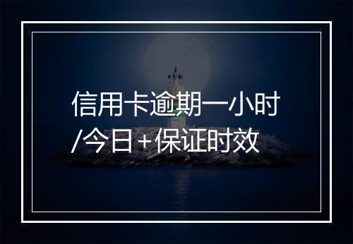 信用卡逾期一小时/今日+保证时效