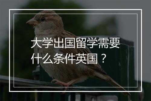 大学出国留学需要什么条件英国？