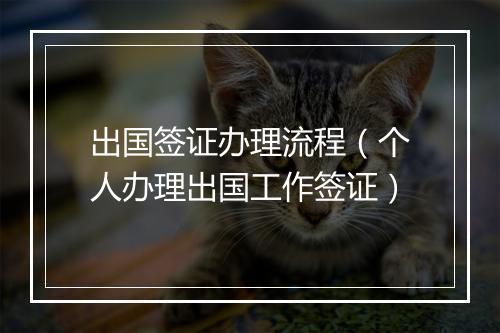 出国签证办理流程（个人办理出国工作签证）
