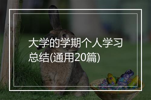 大学的学期个人学习总结(通用20篇)