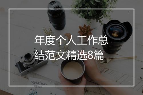 年度个人工作总结范文精选8篇