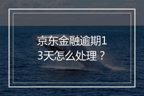 京东金融逾期13天怎么处理？