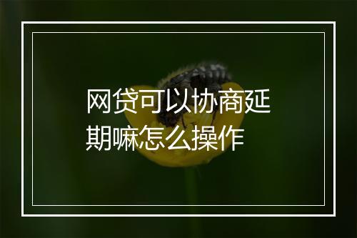 网贷可以协商延期嘛怎么操作