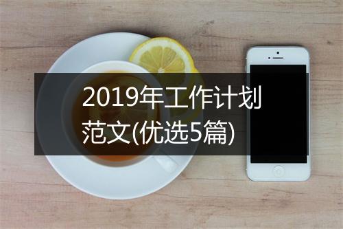 2019年工作计划范文(优选5篇)