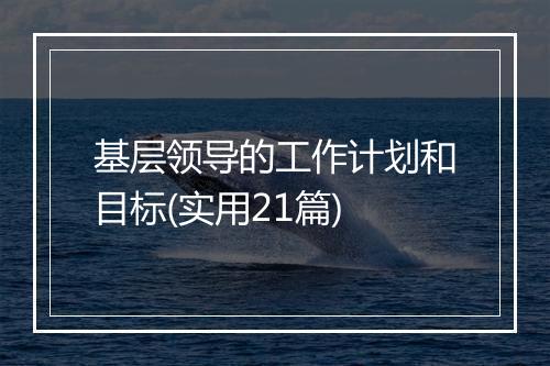 基层领导的工作计划和目标(实用21篇)
