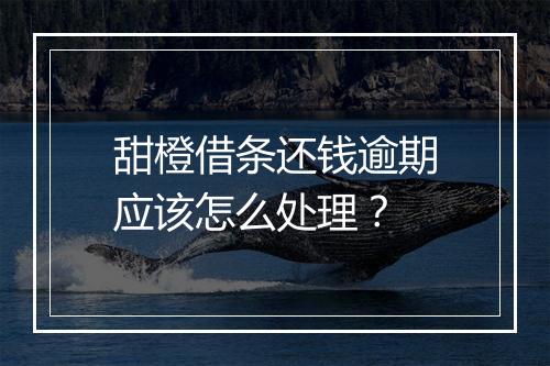 甜橙借条还钱逾期应该怎么处理？