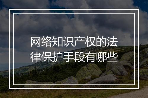网络知识产权的法律保护手段有哪些