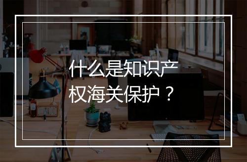 什么是知识产权海关保护？