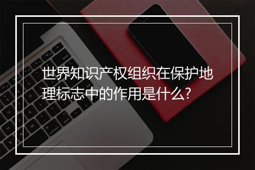 世界知识产权组织在保护地理标志中的作用是什么?