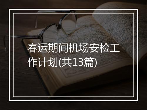 春运期间机场安检工作计划(共13篇)