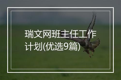 瑞文网班主任工作计划(优选9篇)