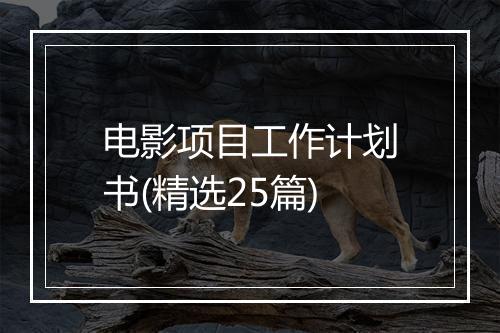 电影项目工作计划书(精选25篇)