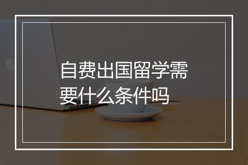 自费出国留学需要什么条件吗