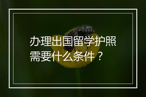 办理出国留学护照需要什么条件？