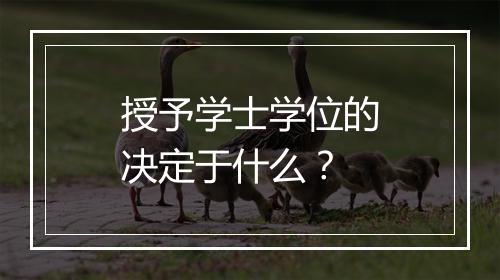 授予学士学位的决定于什么？