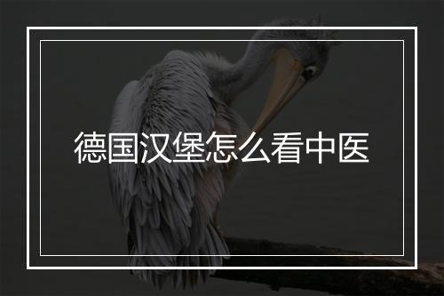 德国汉堡怎么看中医