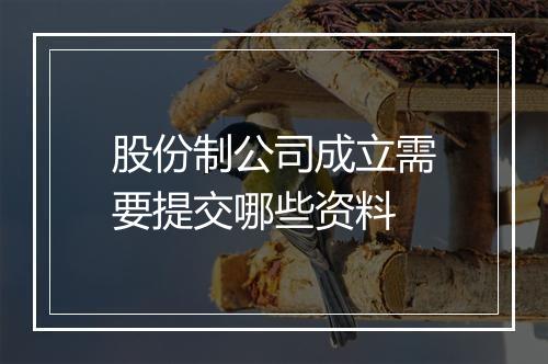 股份制公司成立需要提交哪些资料