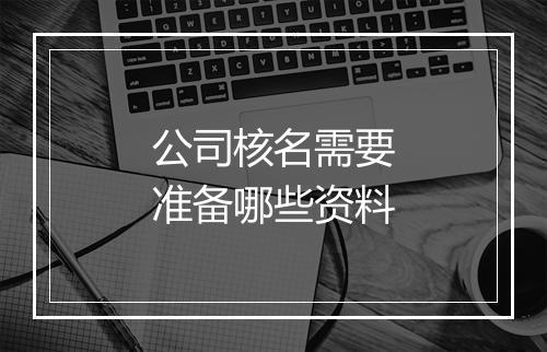 公司核名需要准备哪些资料