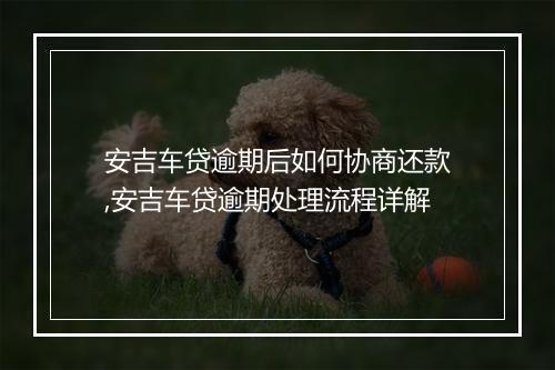 安吉车贷逾期后如何协商还款,安吉车贷逾期处理流程详解