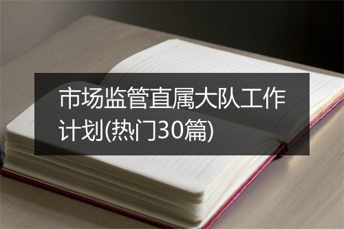 市场监管直属大队工作计划(热门30篇)