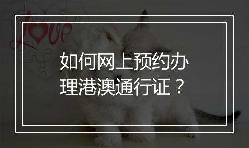 如何网上预约办理港澳通行证？