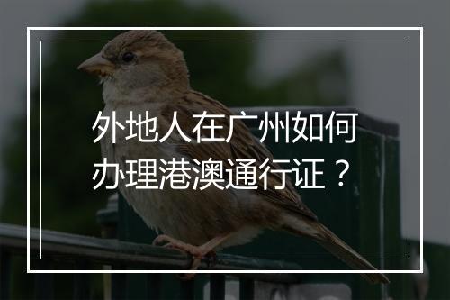 外地人在广州如何办理港澳通行证？