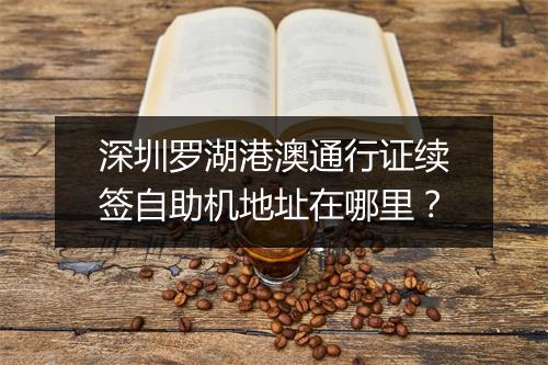 深圳罗湖港澳通行证续签自助机地址在哪里？