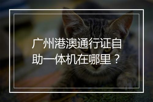 广州港澳通行证自助一体机在哪里？